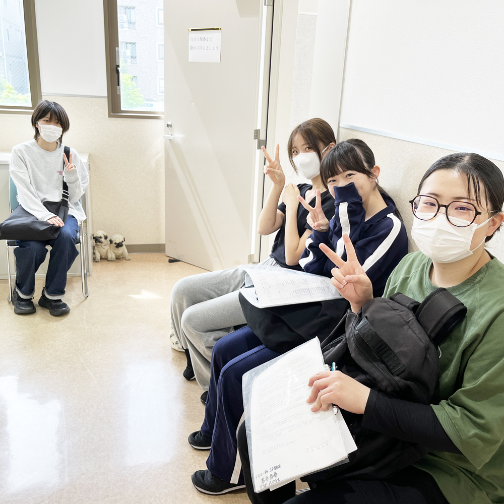就職活動が始まりました！